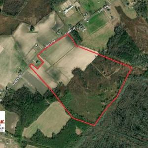 Photo of SOLD!!  94 Acres of Farm and Hunting Land For Sale in Robeson County NC!