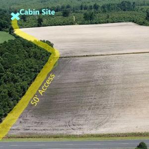 Photo of SOLD!!  125 Acres of Duck Hunting Land and Cabin Site For Sale in Robeson County NC!