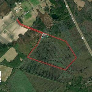 Photo of SOLD!!  125 Acres of Duck Hunting Land and Cabin Site For Sale in Robeson County NC!