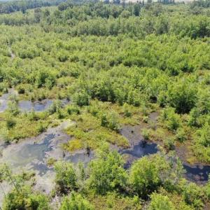 Photo of SOLD!!  125 Acres of Duck Hunting Land and Cabin Site For Sale in Robeson County NC!