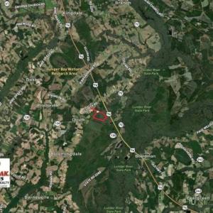 Photo of SOLD!!  125 Acres of Duck Hunting Land and Cabin Site For Sale in Robeson County NC!