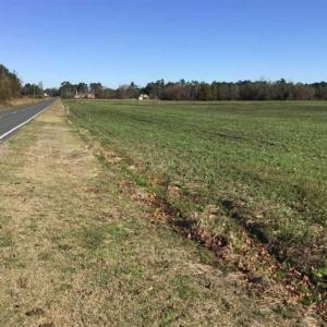 Photo of 24 acres of Farm Land for Sale in Robeson County NC!