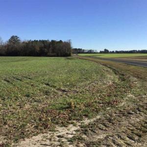 Photo of 24 acres of Farm Land for Sale in Robeson County NC!