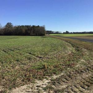 Photo of 24 acres of Farm Land for Sale in Robeson County NC!