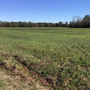 Photo of 24 acres of Farm Land for Sale in Robeson County NC!