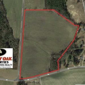Photo of 24 acres of Farm Land for Sale in Robeson County NC!