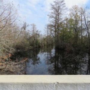 Photo of UNDER CONTRACT!!  50 Acres of Hunting Land For Sale in Robeson County NC!