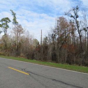 Photo of UNDER CONTRACT!!  50 Acres of Hunting Land For Sale in Robeson County NC!