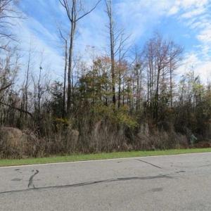 Photo of UNDER CONTRACT!!  50 Acres of Hunting Land For Sale in Robeson County NC!