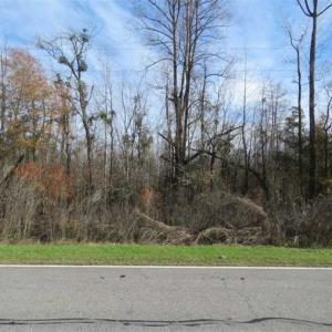 Photo of UNDER CONTRACT!!  50 Acres of Hunting Land For Sale in Robeson County NC!