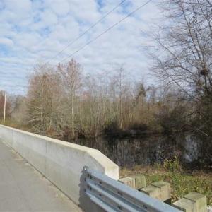Photo of UNDER CONTRACT!!  50 Acres of Hunting Land For Sale in Robeson County NC!