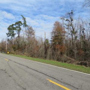 Photo of UNDER CONTRACT!!  50 Acres of Hunting Land For Sale in Robeson County NC!