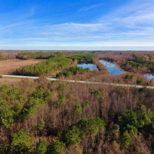 Photo of 36.4 Acres of River Front Hunting and Timber Land For Sale in Craven County NC!