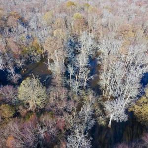 Photo of 36.4 Acres of River Front Hunting and Timber Land For Sale in Craven County NC!