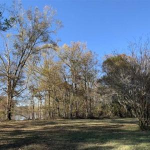 Photo of 36.4 Acres of River Front Hunting and Timber Land For Sale in Craven County NC!