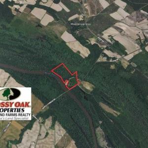 Photo of 36.4 Acres of River Front Hunting and Timber Land For Sale in Craven County NC!