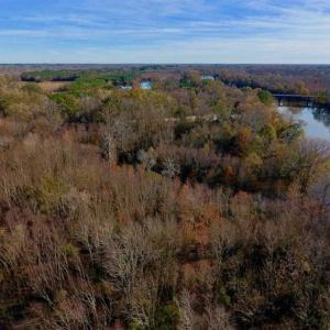 Photo of 36.4 Acres of River Front Hunting and Timber Land For Sale in Craven County NC!