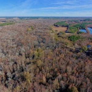 Photo of 36.4 Acres of River Front Hunting and Timber Land For Sale in Craven County NC!