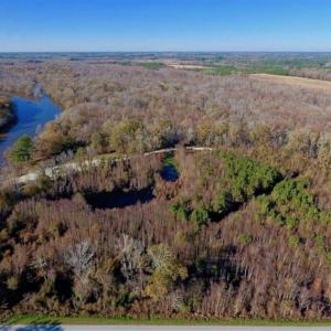 Photo of 36.4 Acres of River Front Hunting and Timber Land For Sale in Craven County NC!