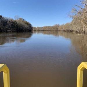 Photo of 36.4 Acres of River Front Hunting and Timber Land For Sale in Craven County NC!