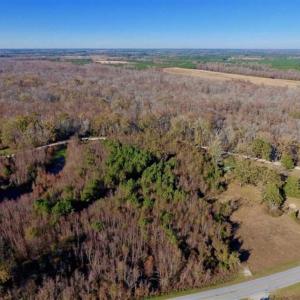 Photo of 36.4 Acres of River Front Hunting and Timber Land For Sale in Craven County NC!