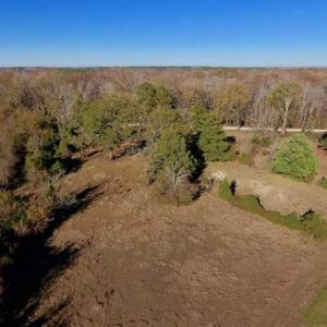 Photo of 36.4 Acres of River Front Hunting and Timber Land For Sale in Craven County NC!