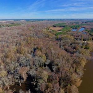 Photo of 36.4 Acres of River Front Hunting and Timber Land For Sale in Craven County NC!