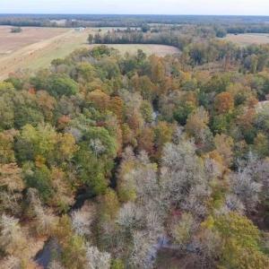 Photo of 34.4 Acres of Hunting and Farm Land For Sale in Craven County NC!