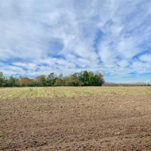Photo of 34.4 Acres of Hunting and Farm Land For Sale in Craven County NC!