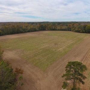 Photo of 34.4 Acres of Hunting and Farm Land For Sale in Craven County NC!