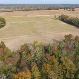 Photo of 34.4 Acres of Hunting and Farm Land For Sale in Craven County NC!