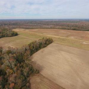 Photo of 34.4 Acres of Hunting and Farm Land For Sale in Craven County NC!
