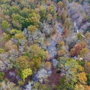 Photo of 34.4 Acres of Hunting and Farm Land For Sale in Craven County NC!