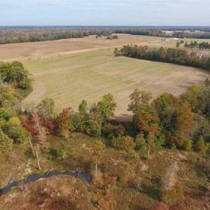 Photo of 34.4 Acres of Hunting and Farm Land For Sale in Craven County NC!