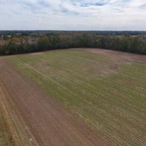 Photo of 34.4 Acres of Hunting and Farm Land For Sale in Craven County NC!