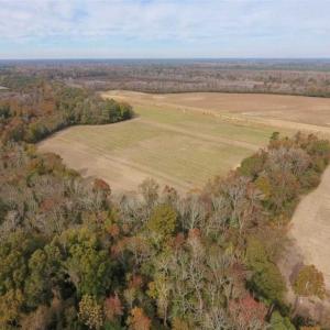 Photo of 34.4 Acres of Hunting and Farm Land For Sale in Craven County NC!