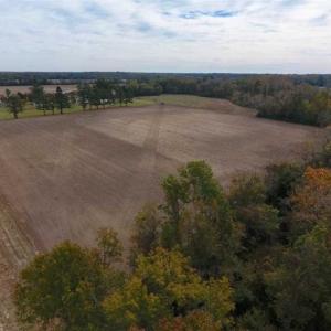 Photo of 34.4 Acres of Hunting and Farm Land For Sale in Craven County NC!
