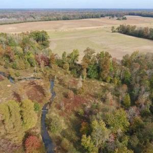 Photo of 34.4 Acres of Hunting and Farm Land For Sale in Craven County NC!
