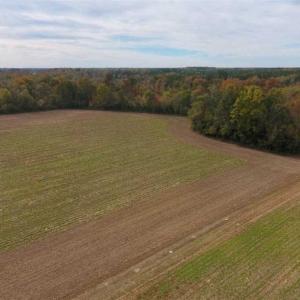 Photo of 34.4 Acres of Hunting and Farm Land For Sale in Craven County NC!