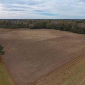 Photo of 34.4 Acres of Hunting and Farm Land For Sale in Craven County NC!