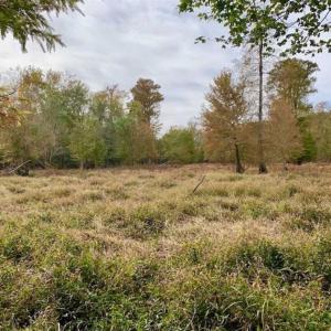 Photo of 34.4 Acres of Hunting and Farm Land For Sale in Craven County NC!