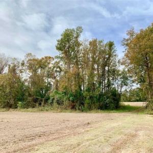 Photo of 34.4 Acres of Hunting and Farm Land For Sale in Craven County NC!