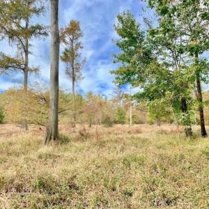 Photo of 34.4 Acres of Hunting and Farm Land For Sale in Craven County NC!