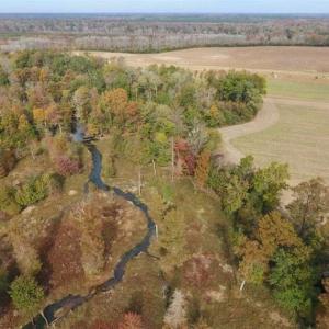Photo of 34.4 Acres of Hunting and Farm Land For Sale in Craven County NC!