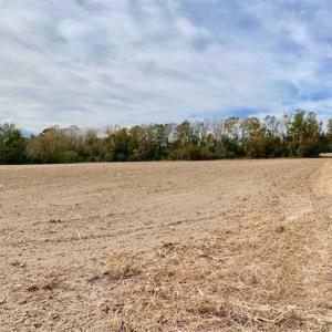 Photo of 34.4 Acres of Hunting and Farm Land For Sale in Craven County NC!