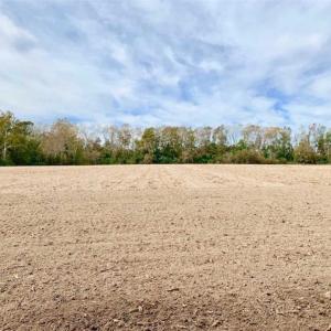 Photo of 34.4 Acres of Hunting and Farm Land For Sale in Craven County NC!