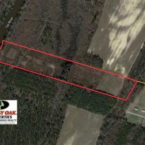 Photo of 19.64 Acres of Tar River Hunting Land For Sale in Edgecombe County NC!