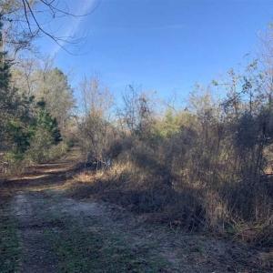 Photo of 19.64 Acres of Tar River Hunting Land For Sale in Edgecombe County NC!