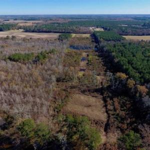 Photo of 19.64 Acres of Tar River Hunting Land For Sale in Edgecombe County NC!