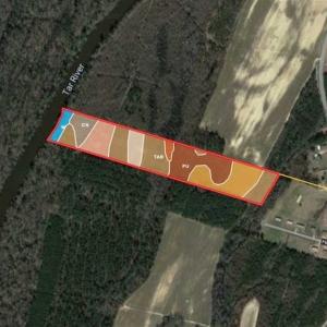 Photo of 19.64 Acres of Tar River Hunting Land For Sale in Edgecombe County NC!